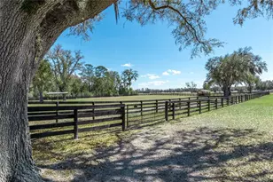 4700 NW 157th Ct, Morriston, FL 32668 - Photo 82