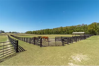 4700 NW 157th Court, Morriston, FL 32668 - Photo 92