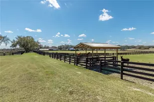 4700 NW 157th Ct, Morriston, FL 32668 - Photo 66