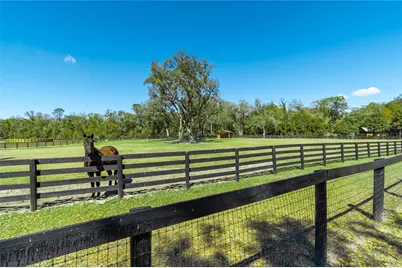 4700 NW 157th Court, Morriston, FL 32668 - Photo 88