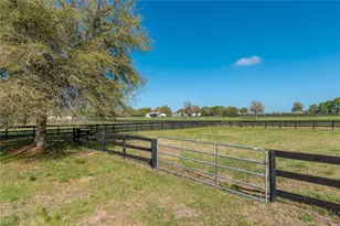 8785 NW 63rd St, Ocala, FL 34482 - Photo 76