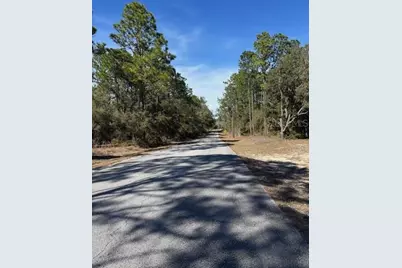 Tba SW 207 Court #4, Dunnellon, FL 34431 - Photo 2