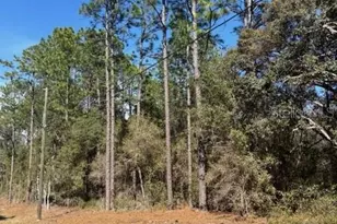 Tba SW 207 Ct, Dunnellon, FL 34431 - Photo 1