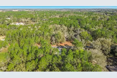 13378 SW 61st Place Road Road, Ocala, FL 34481 - Photo 58