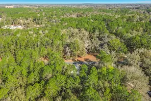 13378 SW 61st Pl Road Rd, Ocala, FL 34481 - Photo 58