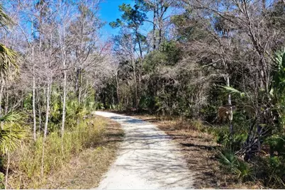 86.77 Acres SW Turtle Pass Road, Chiefland, FL 32626 - Photo 34