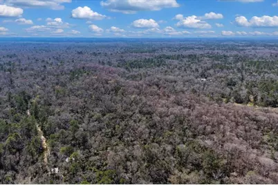 86.77 Acres SW Turtle Pass Road, Chiefland, FL 32626 - Photo 30