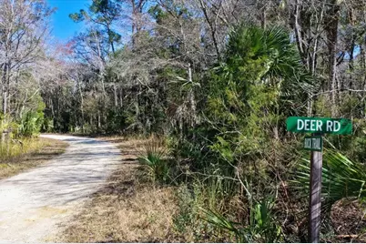 86.77 Acres SW Turtle Pass Road, Chiefland, FL 32626 - Photo 32