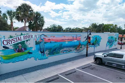 110 NE Crystal Street, Crystal River, FL 34428 - Photo 38