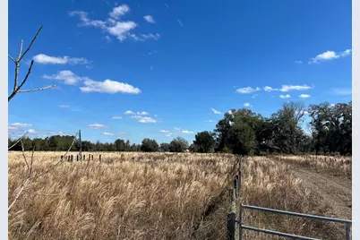 2351 NE Highway 41, Williston, FL 32696 - Photo 16