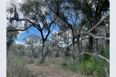 2351 NE Highway 41, Williston, FL 32696 - Photo 6