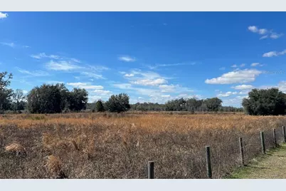 2351 NE Highway 41, Williston, FL 32696 - Photo 4