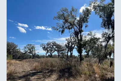 2351 NE Highway 41, Williston, FL 32696 - Photo 6