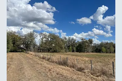2351 NE Highway 41, Williston, FL 32696 - Photo 24