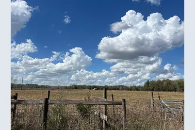 2351 NE Highway 41, Williston, FL 32696 - Photo 22