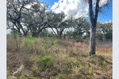 2351 NE Highway 41, Williston, FL 32696 - Photo 10