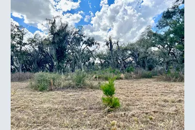 2351 NE Highway 41, Williston, FL 32696 - Photo 12
