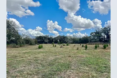 2351 NE Highway 41, Williston, FL 32696 - Photo 14