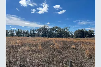 2351 NE Highway 41, Williston, FL 32696 - Photo 2