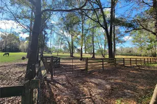 1600 SW 42nd St, Ocala, FL 34471 - Photo 30