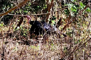 1600 SW 42nd St, Ocala, FL 34471 - Photo 34