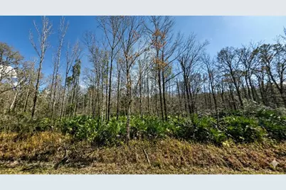 10660 Turpin Avenue, Hastings, FL 32145 - Photo 1