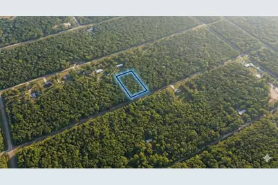 10660 Turpin Avenue, Hastings, FL 32145 - Photo 4