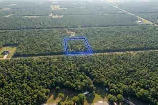 10655 Turpin, Hastings, FL 32145 - Photo 1