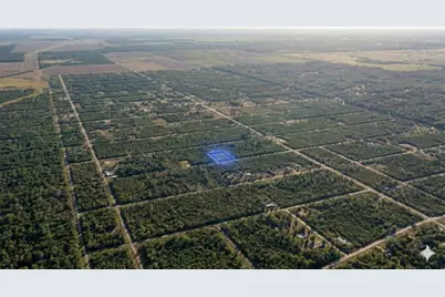 10655 Turpin, Hastings, FL 32145 - Photo 6