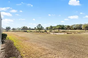 9595 SW 70th Loop, Ocala, FL 34481 - Photo 8