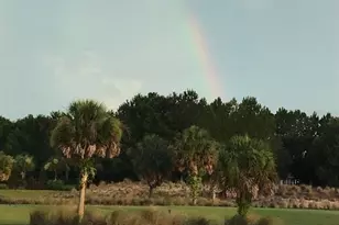 9595 SW 70th Loop, Ocala, FL 34481 - Photo 6