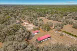15271 SE 24th Street Rd, Ocklawaha, FL 32179 - Photo 74