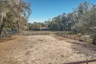 15271 SE 24th Street Rd, Ocklawaha, FL 32179 - Photo 58