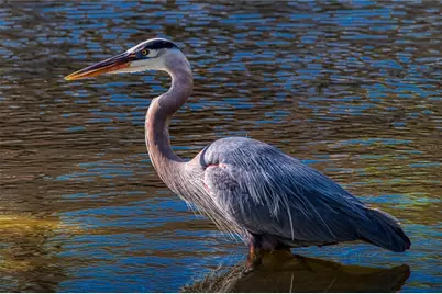 615 Midway Drive #B, Ocala, FL 34472 - Photo 34