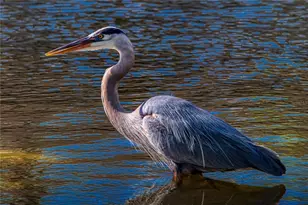 615 Midway Dr, Ocala, FL 34472 - Photo 34