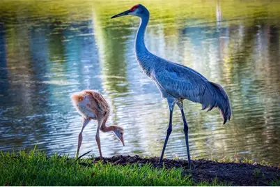 615 Midway Drive #B, Ocala, FL 34472 - Photo 30