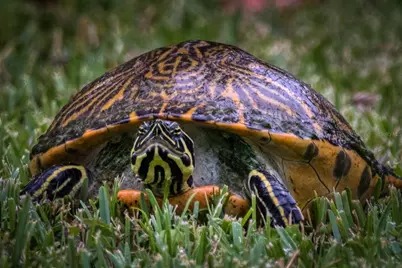 615 Midway Drive #B, Ocala, FL 34472 - Photo 32