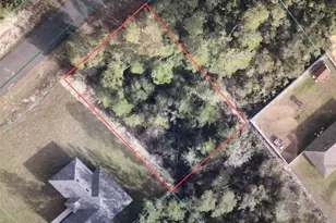 0 SW 164 St Rd, Ocala, FL 34473 - Photo 1