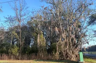 X SE 44th Ct, Ocala, FL 34471 - Photo 1