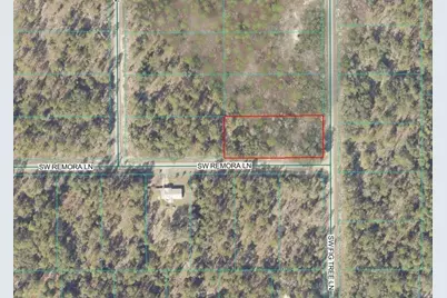 Lot 10 SW Fig Tree Lane, Dunnellon, FL 34431 - Photo 2