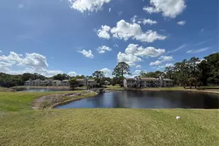 15203 Sandalwood Dr, Wildwood, FL 34785 - Photo 40