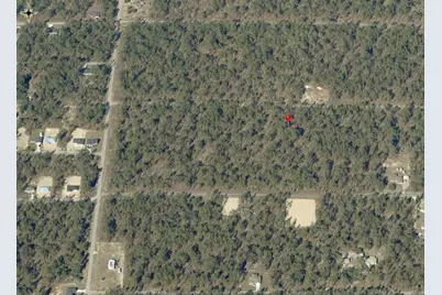 Lot 7 NW Hemlock Avenue, Dunnellon, FL 34431 - Photo 6