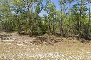 00 SW Rainbow Lakes Blvd, Dunnellon, FL 34431 - Photo 1