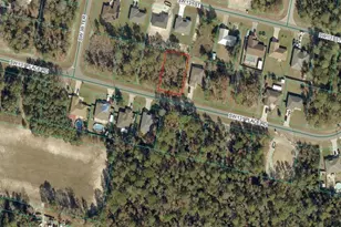 Tba SW 131 Pl, Ocala, FL 34473 - Photo 1