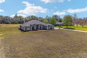 7015 NE 61st Ave Rd, Silver Springs, FL 34488 - Photo 90