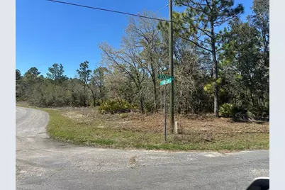 833 W Champlain Lane, Citrus Springs, FL 34434 - Photo 6