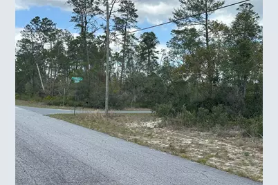 8385 N Farrington Drive, Citrus Springs, FL 34433 - Photo 8