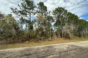 1639 W Pendleton St, Dunnellon, FL 34434 - Photo 1