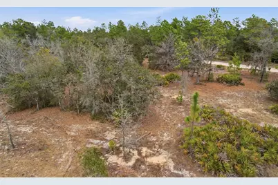 6199 W Peking Court, Dunnellon, FL 34433 - Photo 6