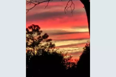 1336 NE 154th Avenue, Williston, FL 32696 - Photo 42